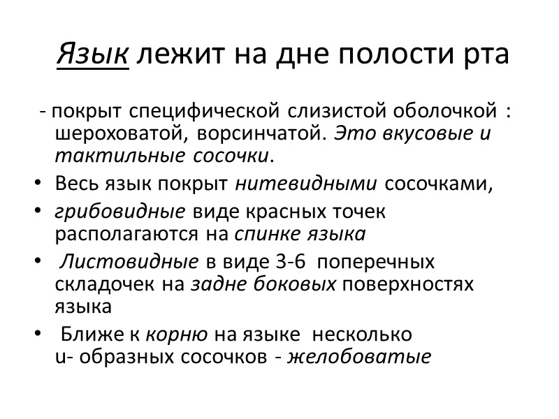Язык лежит на дне полости рта  - покрыт специфической слизистой оболочкой : шероховатой,